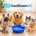 The Freezing Bowl