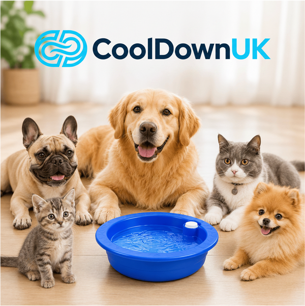 The Freezing Bowl