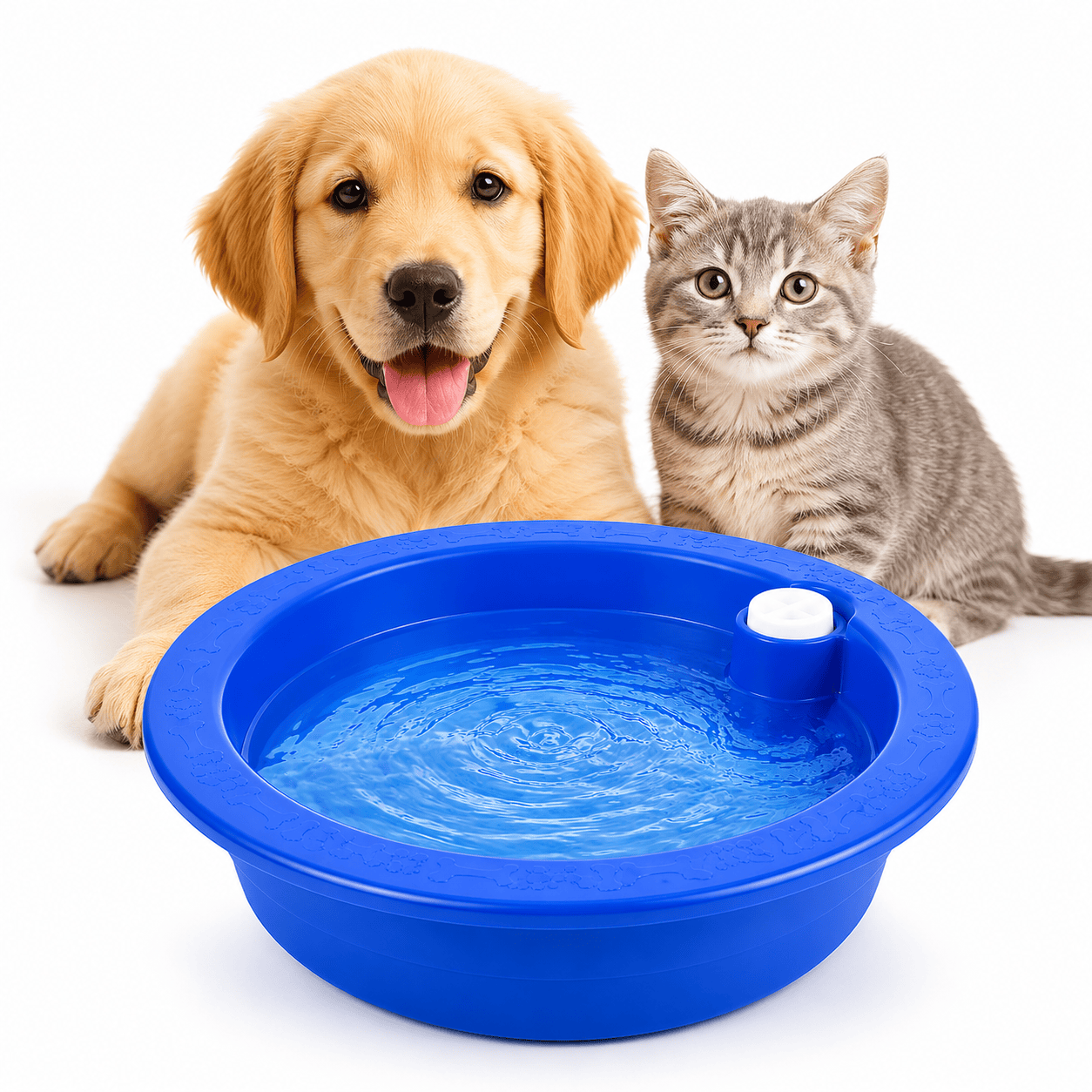 Freeze-Activated Cooling Bowl