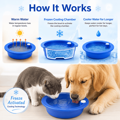 Freeze-Activated Cooling Bowl
