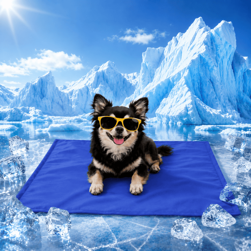 Pet Cooling Mat