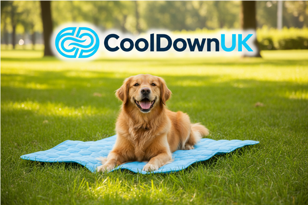The Cooling Mat